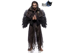 Fallen Angel (mannen) (volledige set)