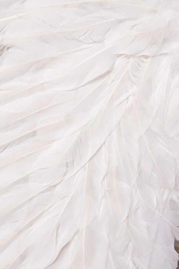 Angel Costume: White Angel