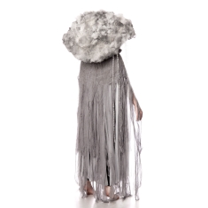 Storm wolk