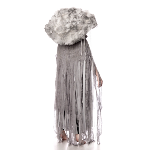 Storm wolk