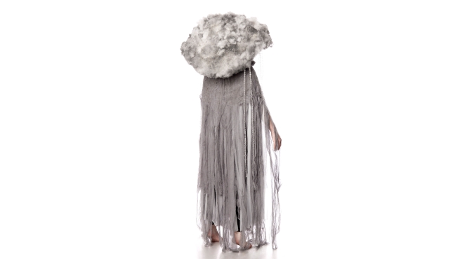 Storm wolk